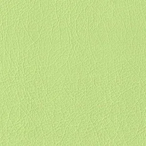 Экокожа ЭКОТЕКС, 3006 св-фисташковый (п/глянец)