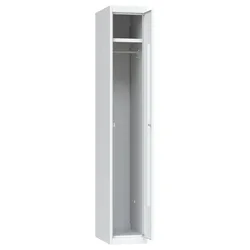 Шкаф LK-11 300
